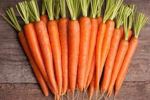 Користь моркви. Скільки її можна їсти? фото