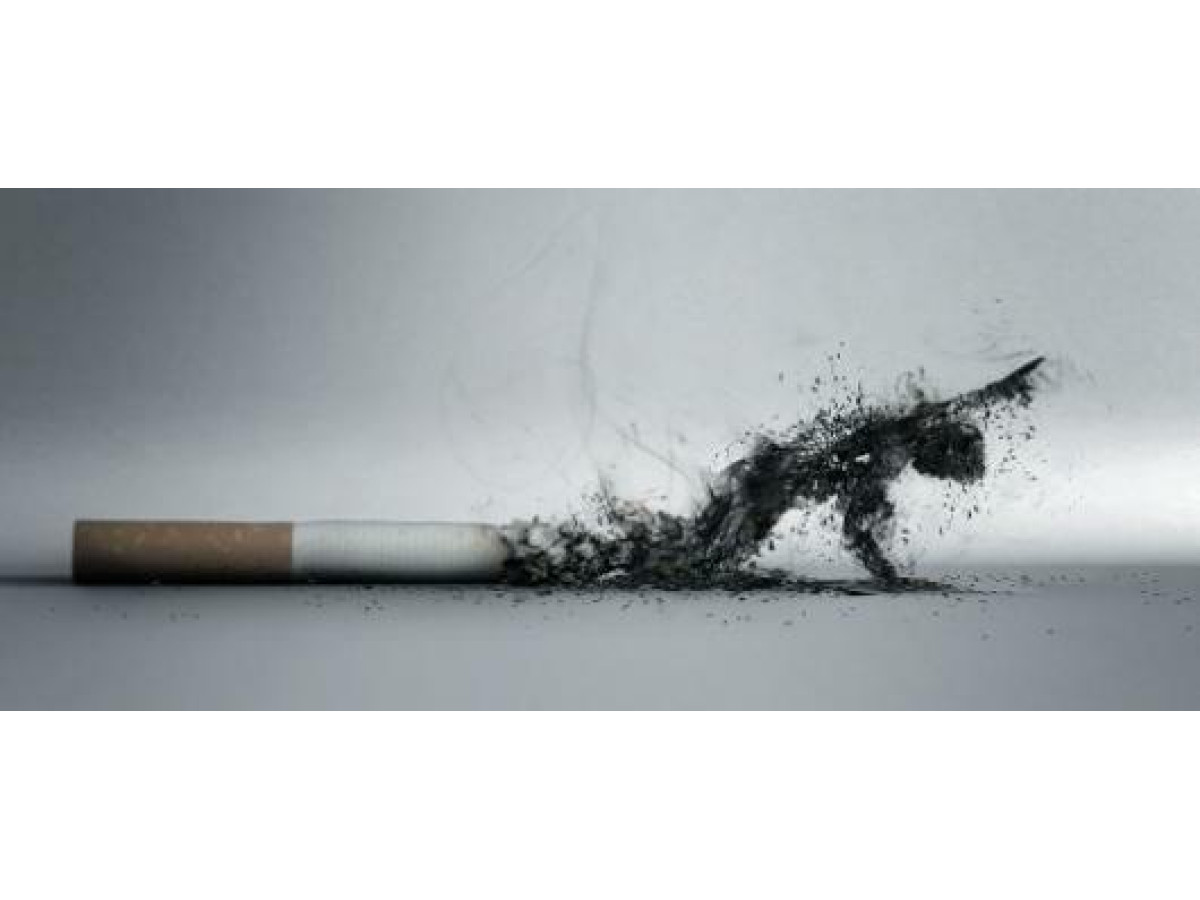 Курение и потенция. Какая между этим связь?
